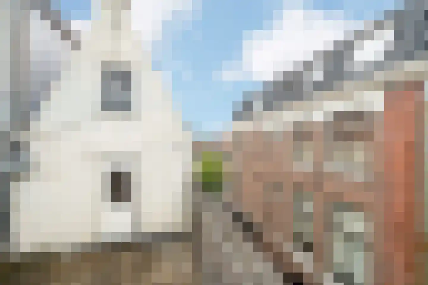 Caeciliastraat 1 Leiden thumbnail 77