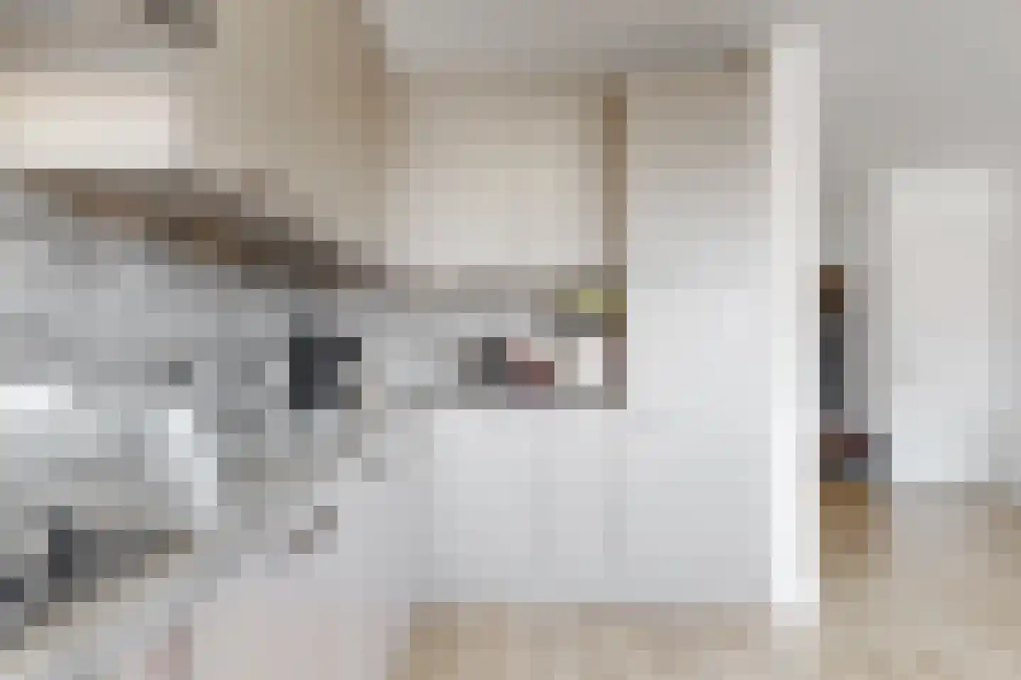 Caeciliastraat 10 Guttecoven thumbnail 12