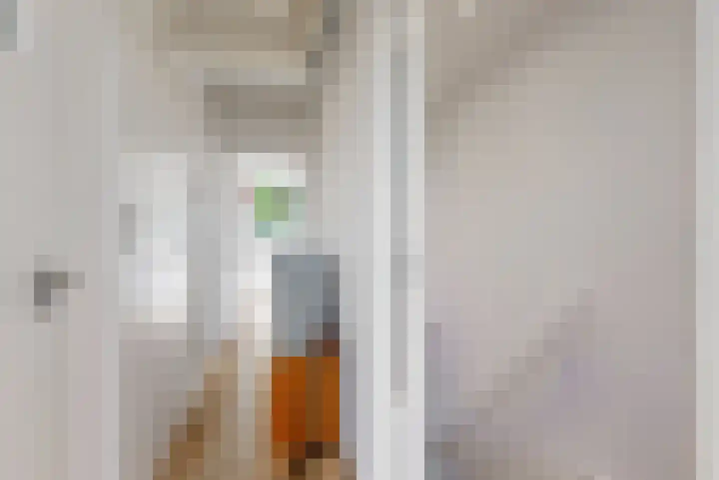 Caeciliastraat 10 Guttecoven thumbnail 14