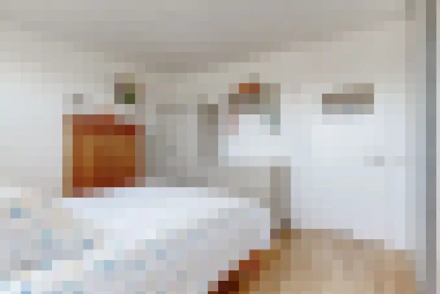 Caeciliastraat 10 Guttecoven thumbnail 17