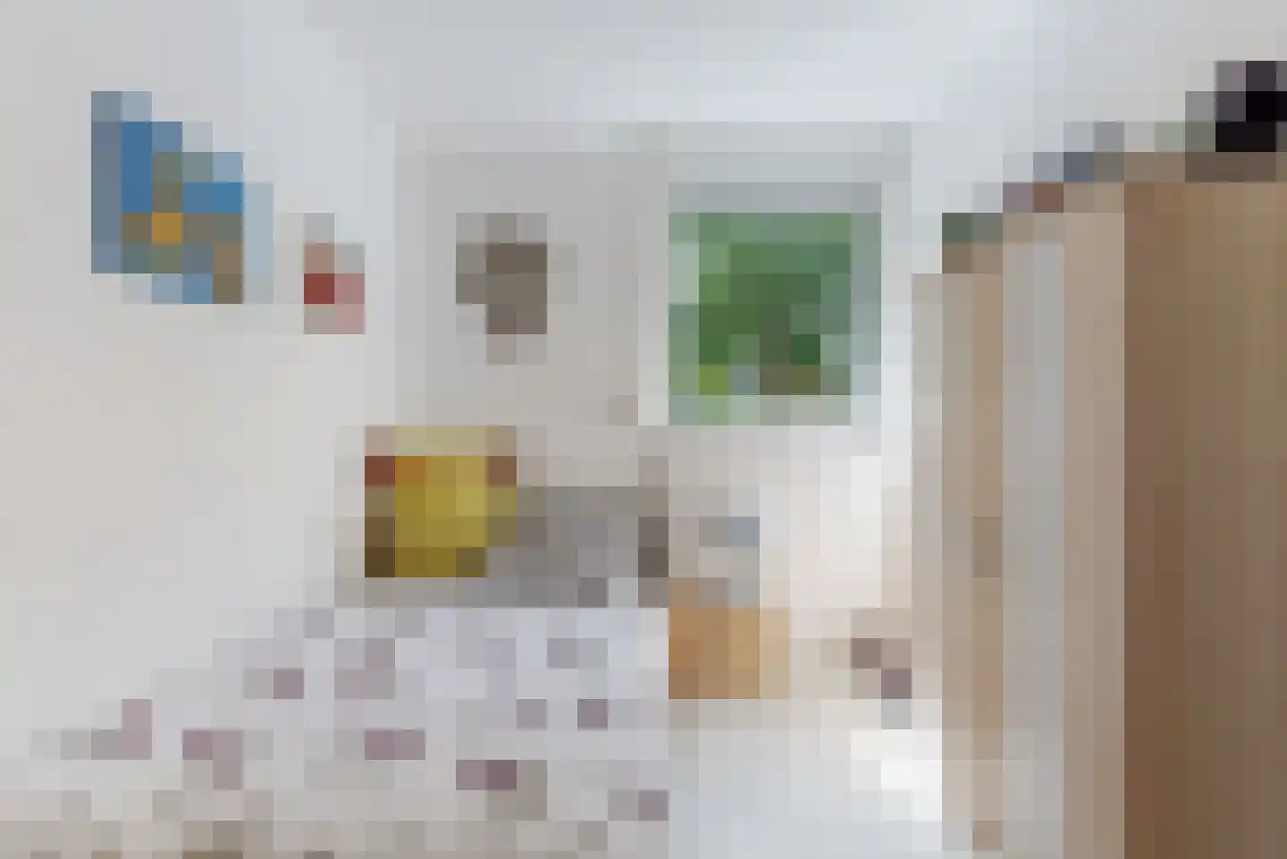 Caeciliastraat 10 Guttecoven thumbnail 18
