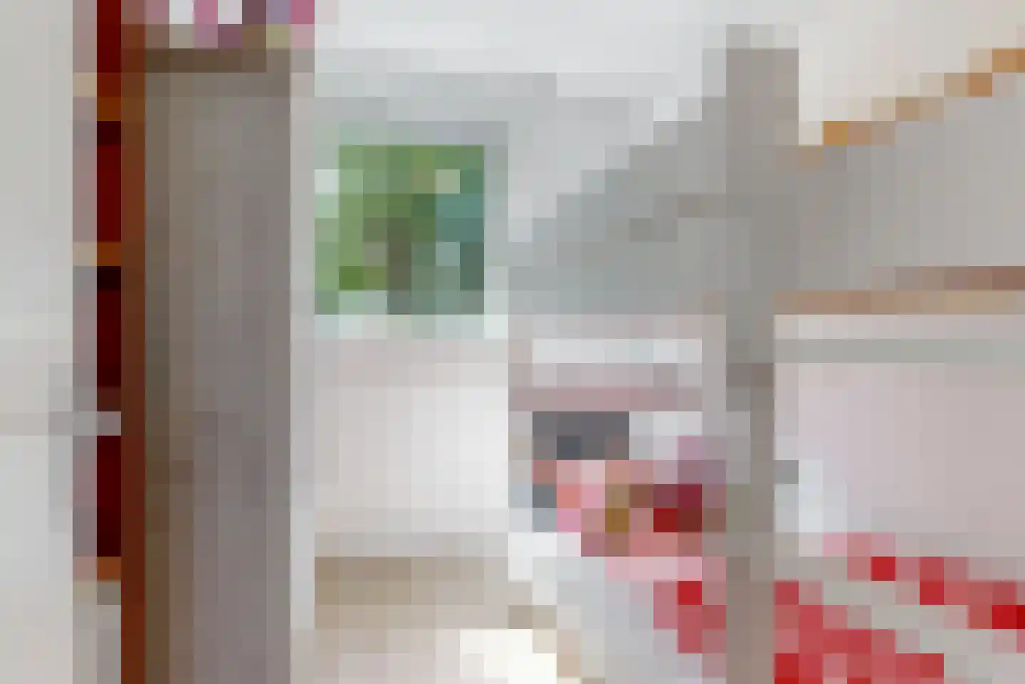 Caeciliastraat 10 Guttecoven thumbnail 20