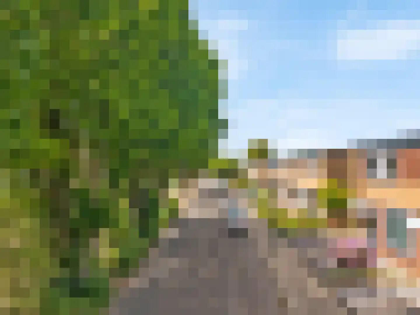 Caeciliastraat 10 Guttecoven thumbnail 4
