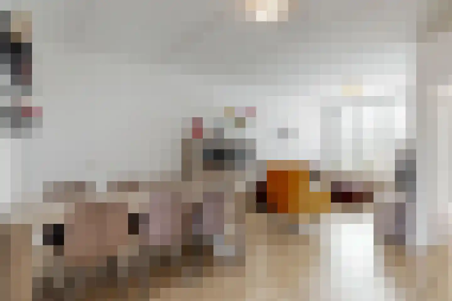 Caeciliastraat 10 Guttecoven thumbnail 7