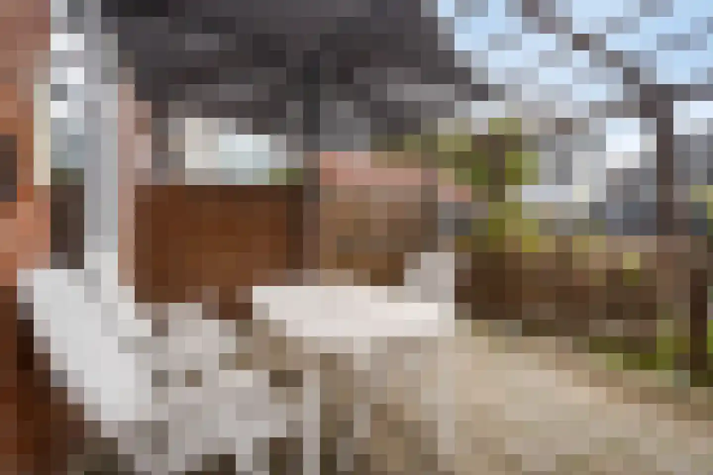 Caeciliastraat 16 Heerlen thumbnail 23