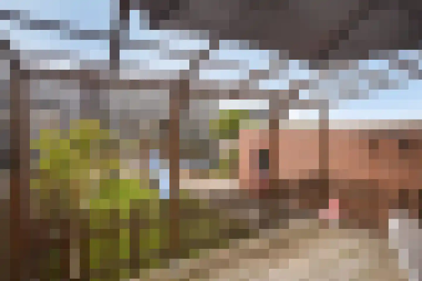 Caeciliastraat 16 Heerlen thumbnail 24