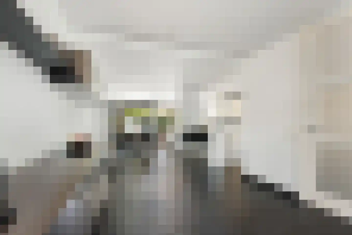 Caeciliastraat 31 Guttecoven thumbnail 15