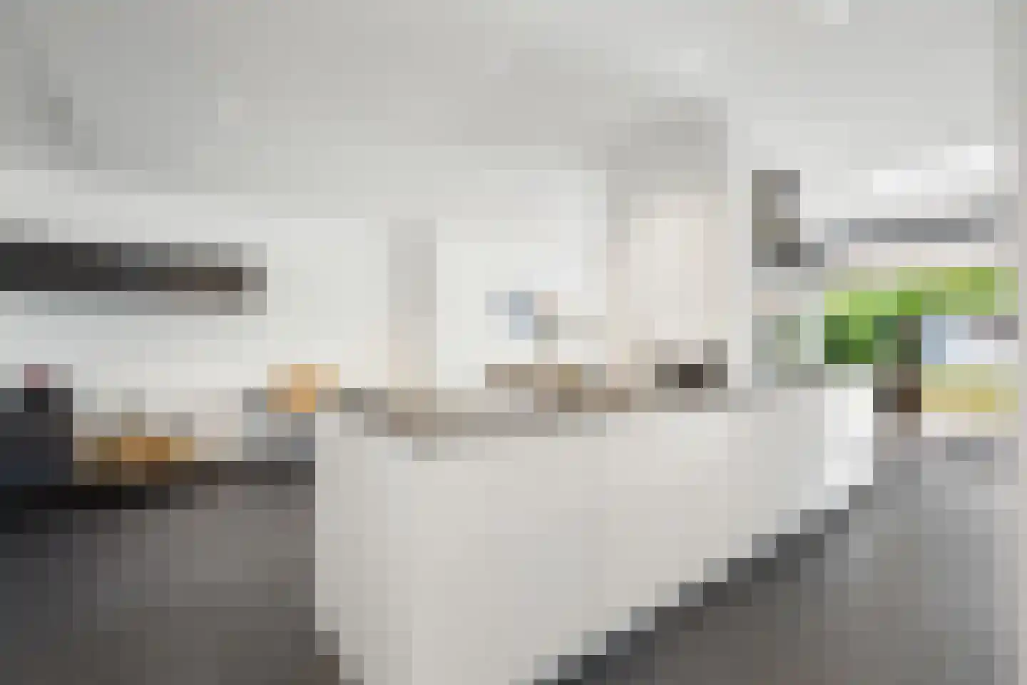 Caeciliastraat 31 Guttecoven thumbnail 16
