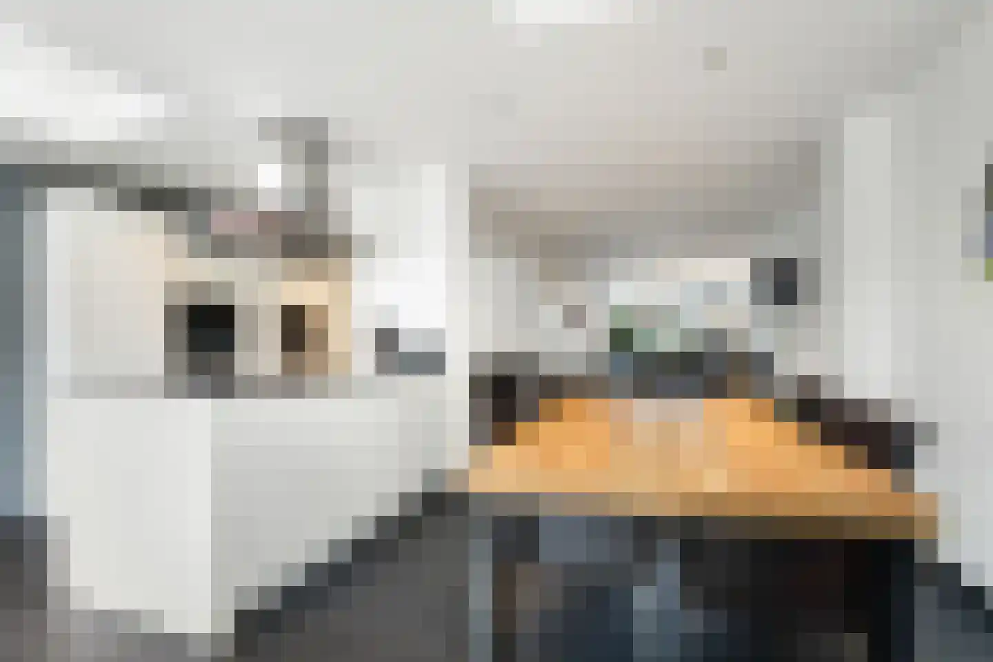 Caeciliastraat 31 Guttecoven thumbnail 18