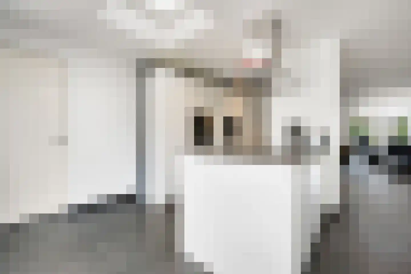Caeciliastraat 31 Guttecoven thumbnail 19