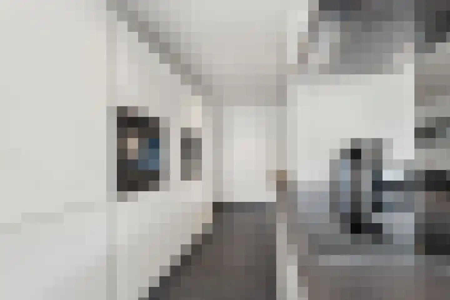 Caeciliastraat 31 Guttecoven thumbnail 21