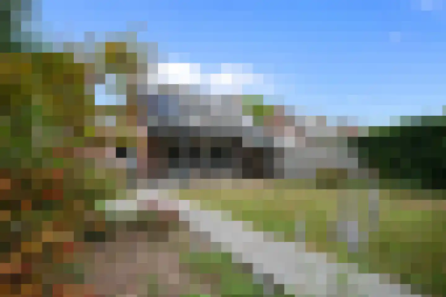 Caeciliastraat 31 Guttecoven thumbnail 27