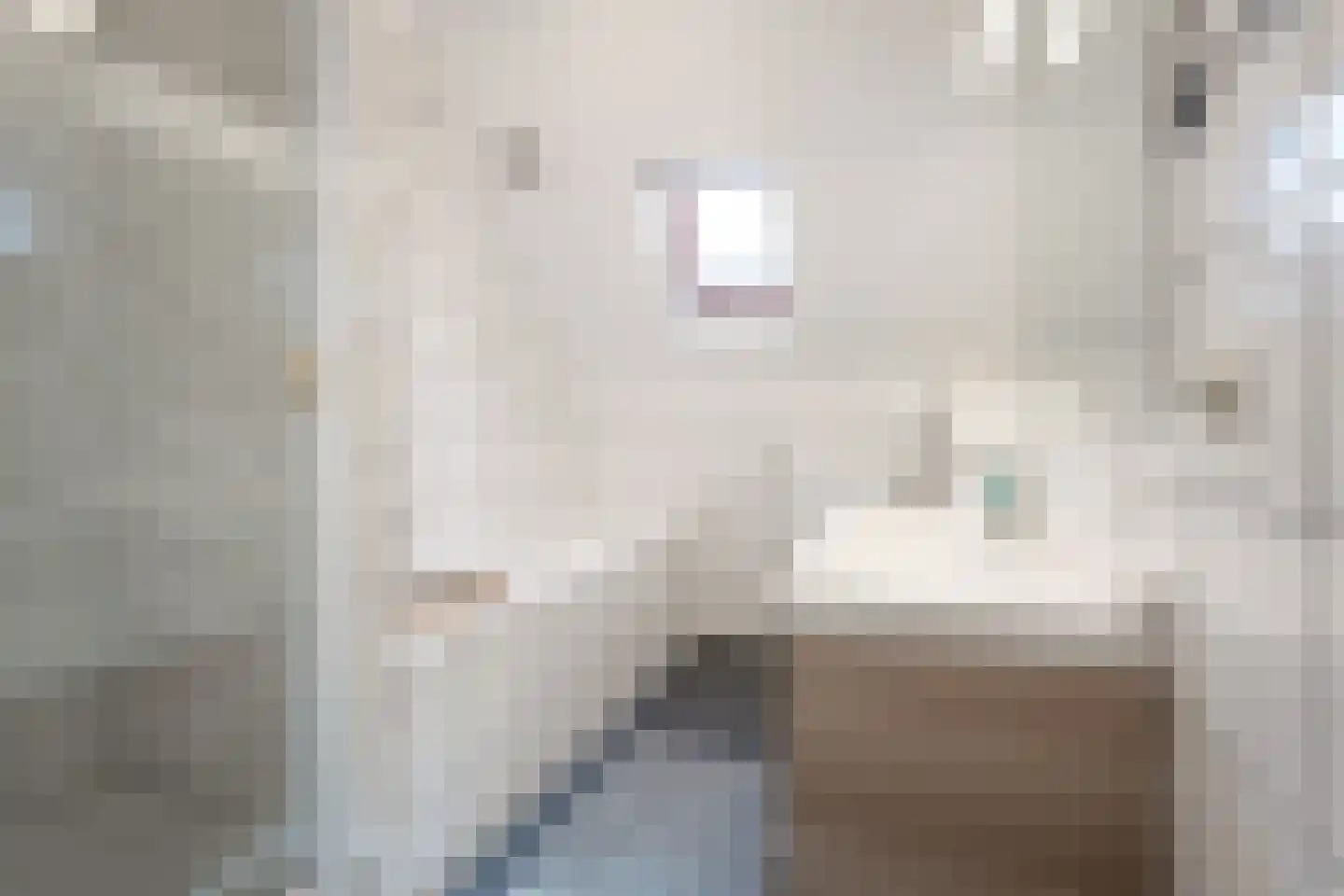 Caeciliastraat 31 Guttecoven thumbnail 32
