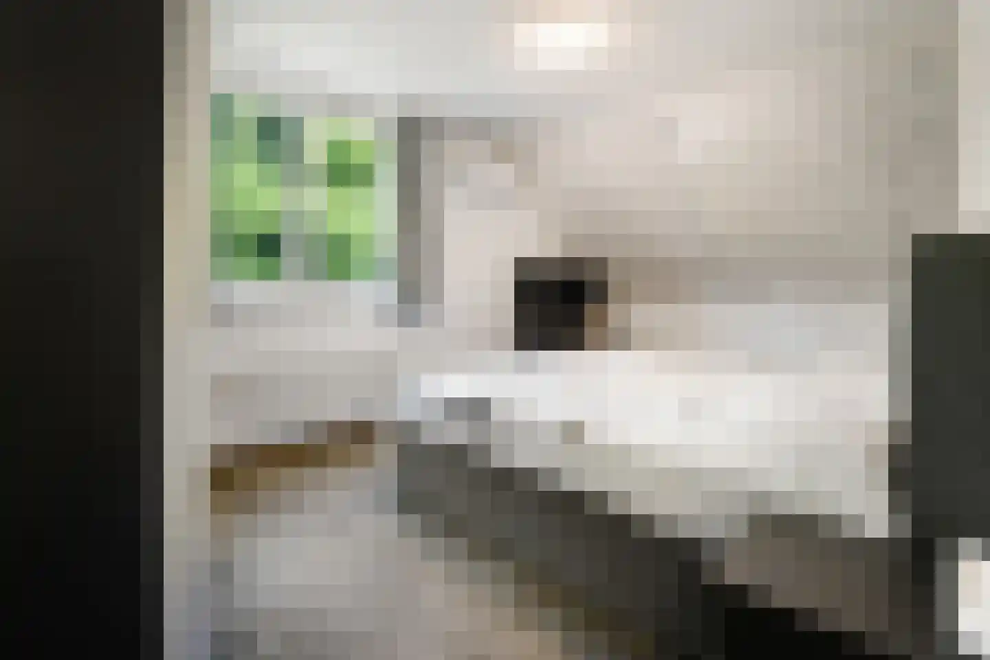 Caeciliastraat 31 Guttecoven thumbnail 33