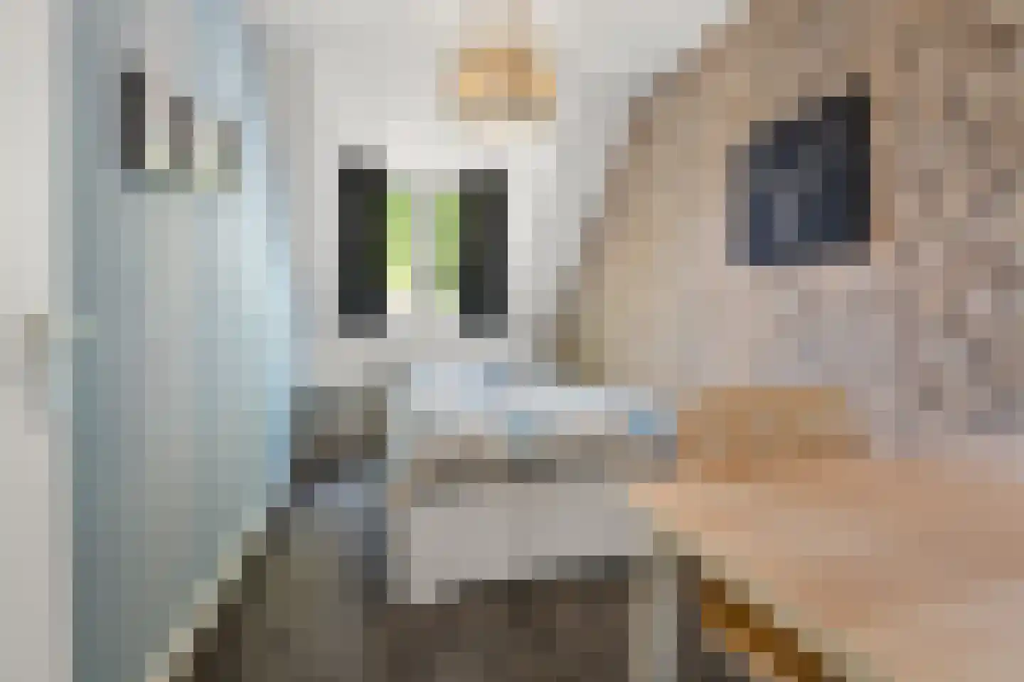 Caeciliastraat 31 Guttecoven thumbnail 35