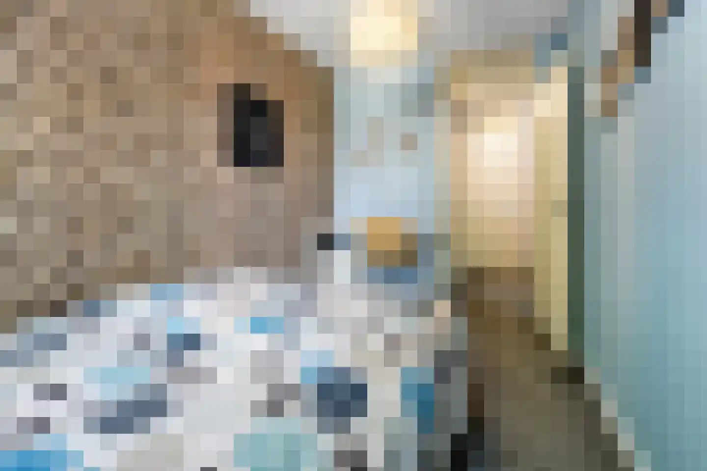 Caeciliastraat 31 Guttecoven thumbnail 36