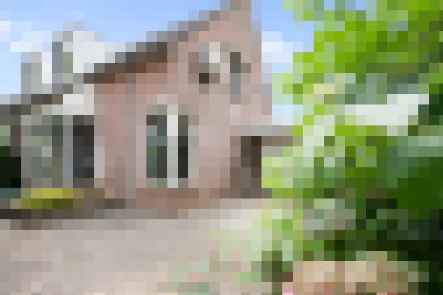 Caeciliastraat 31 Guttecoven thumbnail 7
