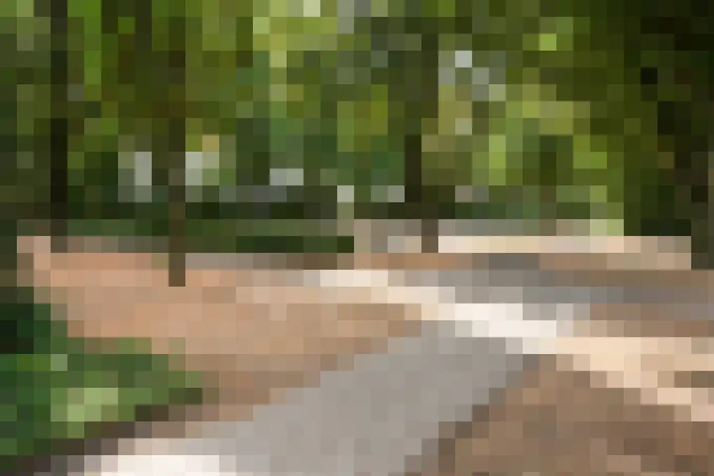 Caeciliastraat 31 Guttecoven thumbnail 9