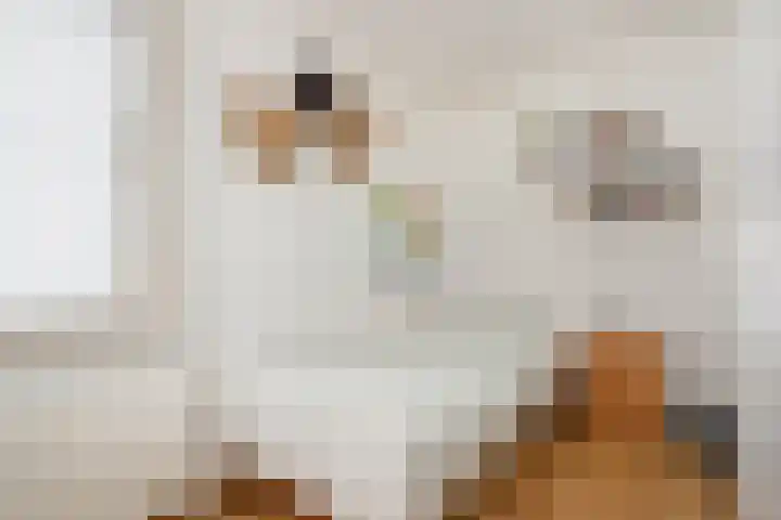 Caeciliastraat 58 Guttecoven thumbnail 24