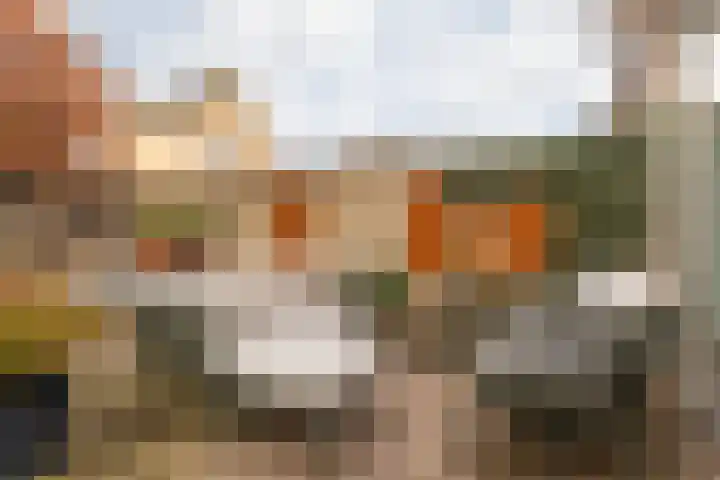 Caeciliastraat 58 Guttecoven thumbnail 30