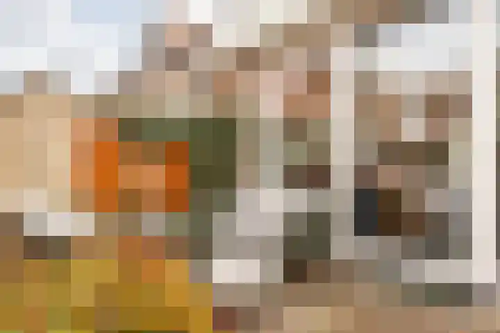 Caeciliastraat 58 Guttecoven thumbnail 31