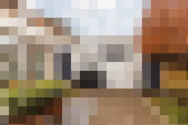 Caeciliastraat 58 Guttecoven thumbnail 33