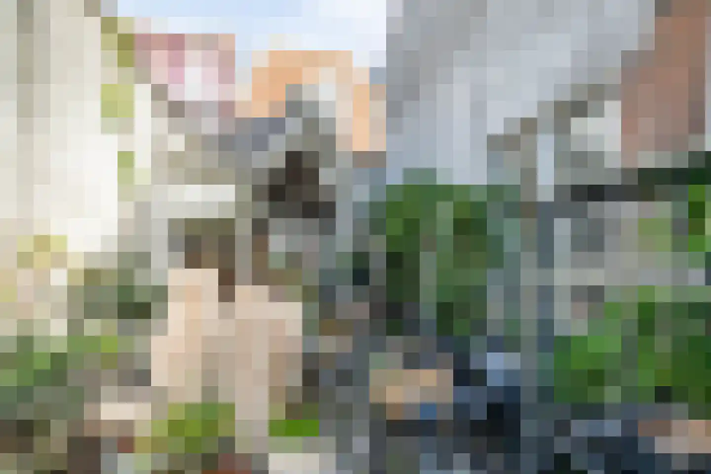 Caeciliastraat 79 Leiden thumbnail 14