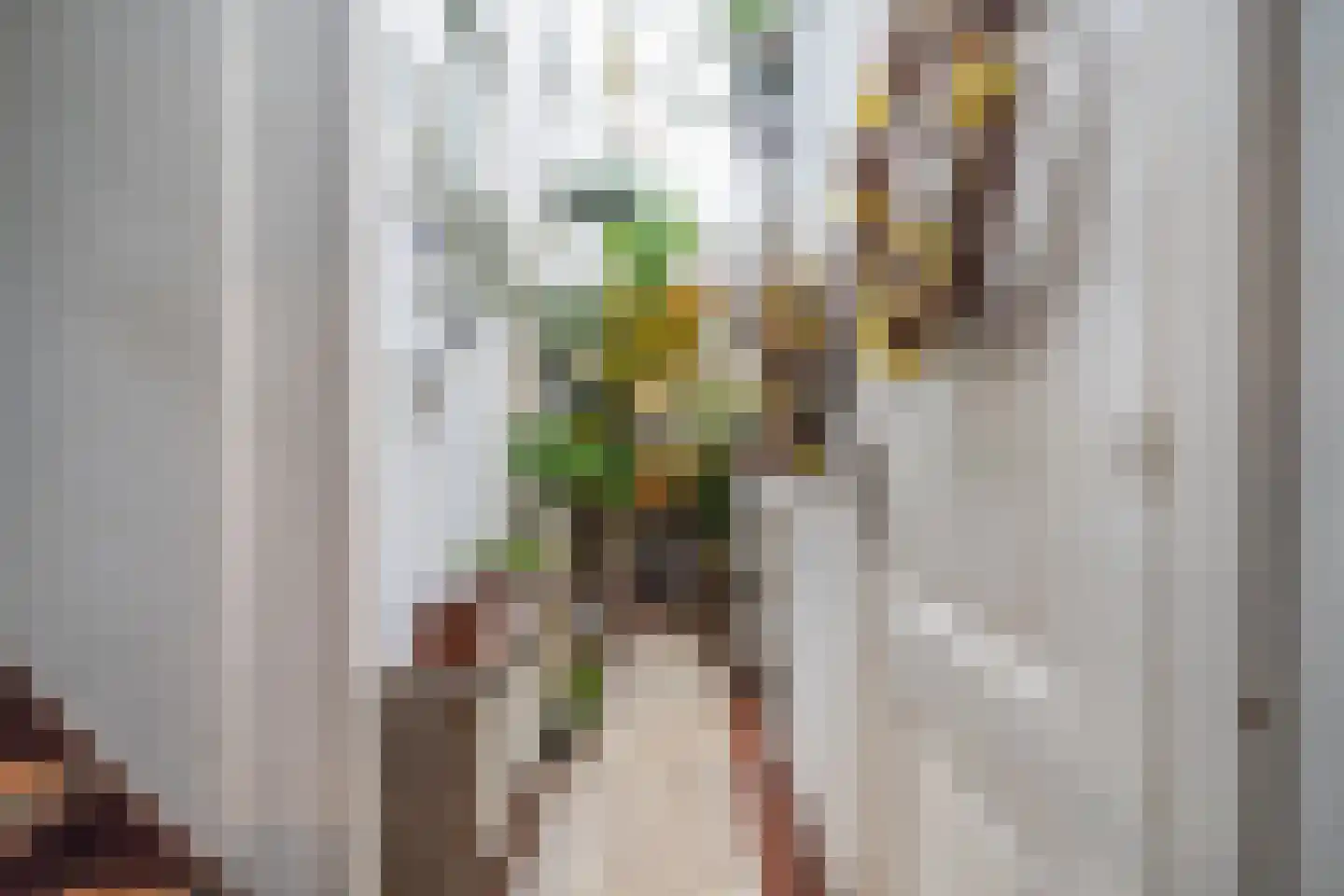 Caeciliastraat 79 Leiden thumbnail 21