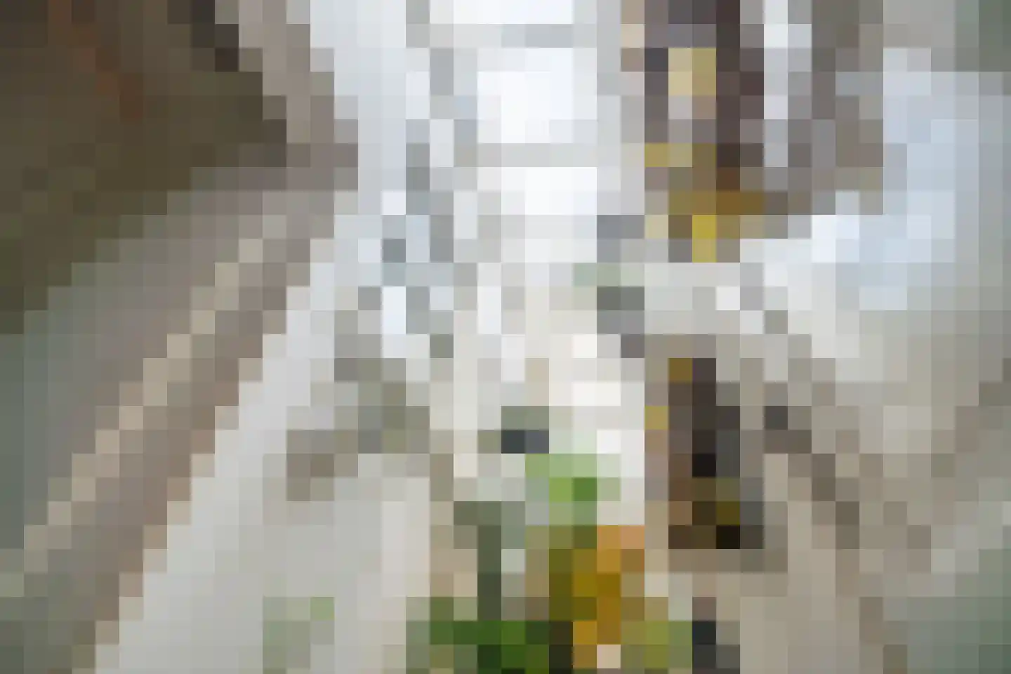 Caeciliastraat 79 Leiden thumbnail 22