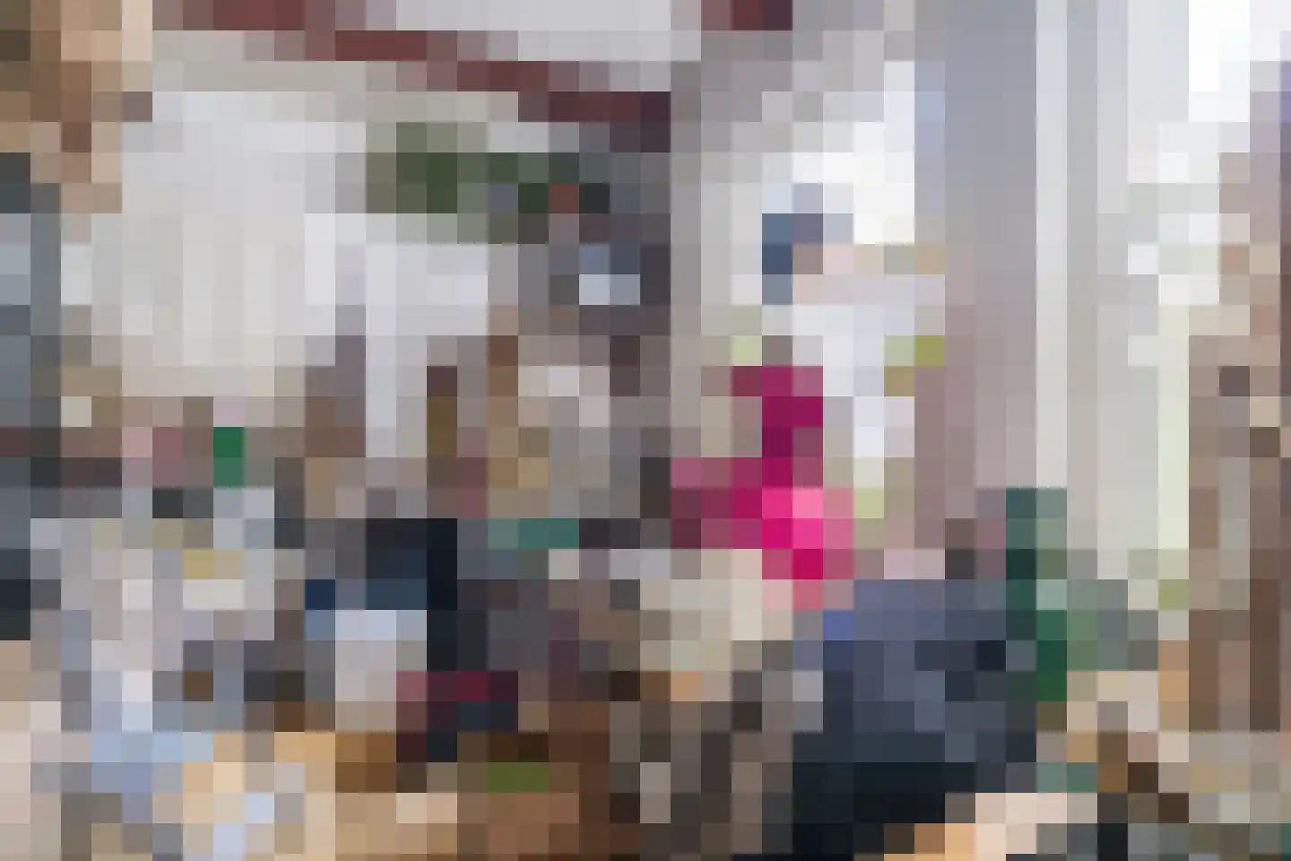 Caeciliastraat 79 Leiden thumbnail 23