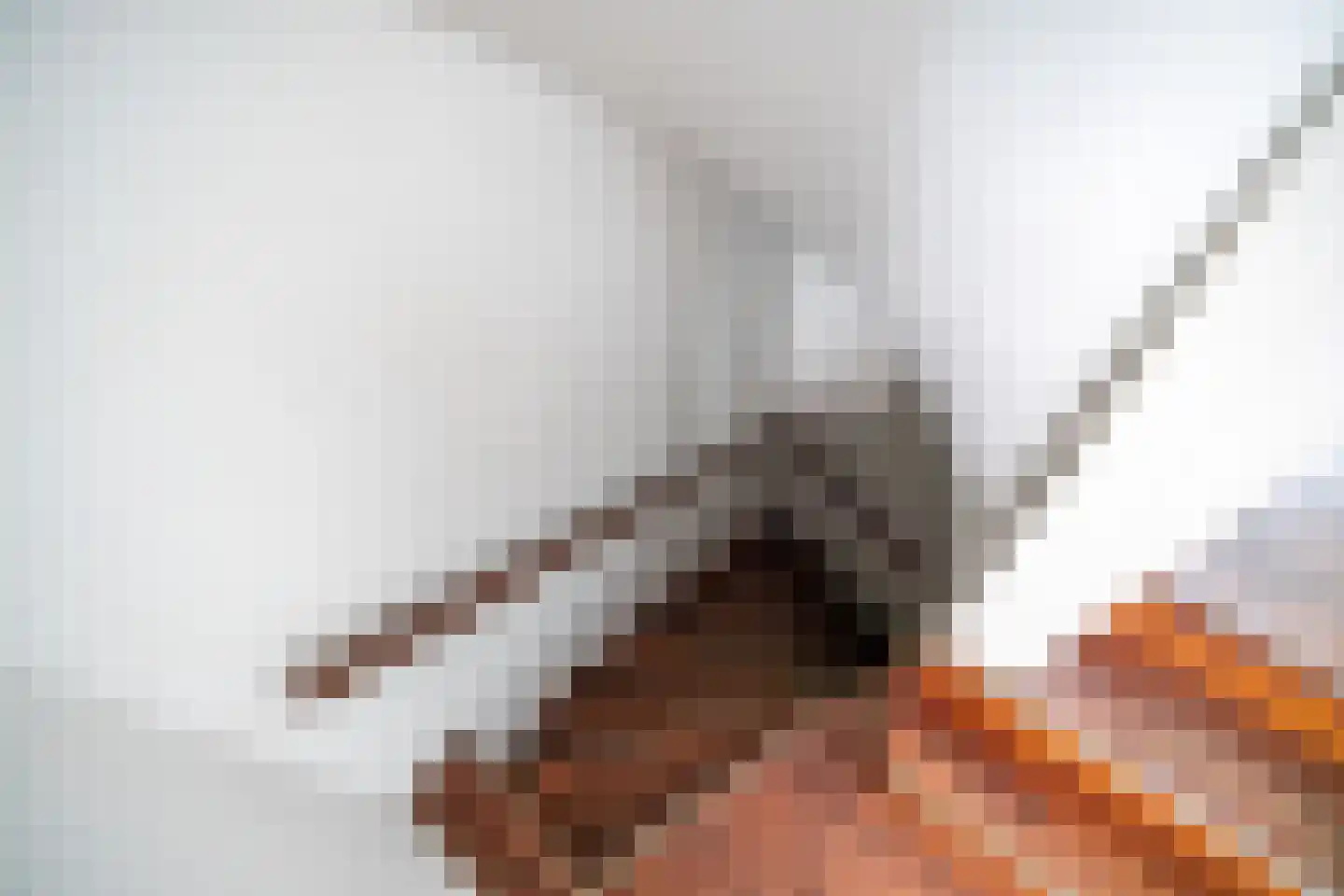 Caeciliastraat 79 Leiden thumbnail 25