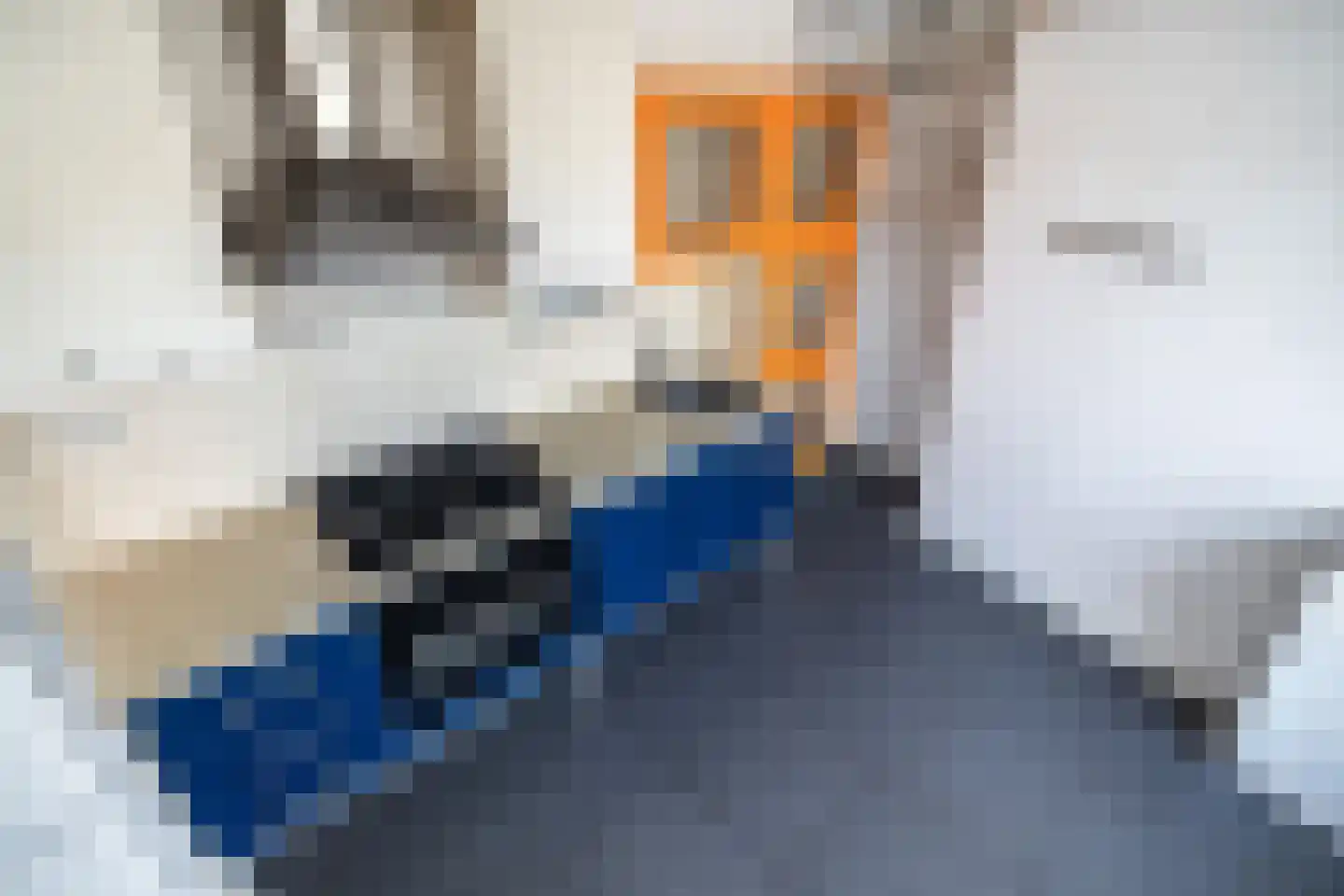 Caeciliastraat 79 Leiden thumbnail 33