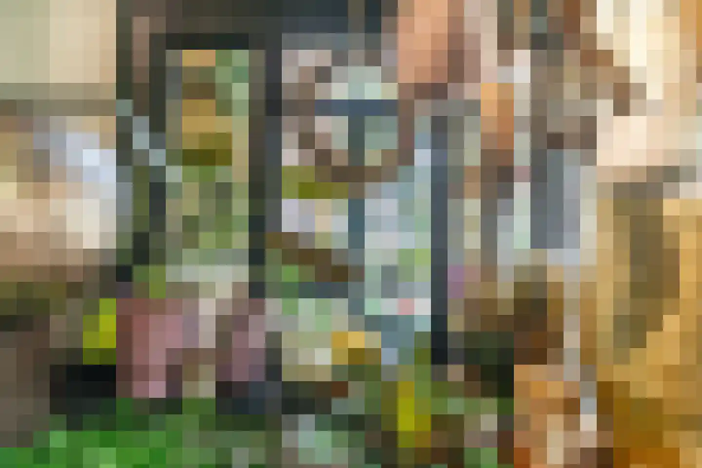 Caeciliastraat 79 Leiden thumbnail 5