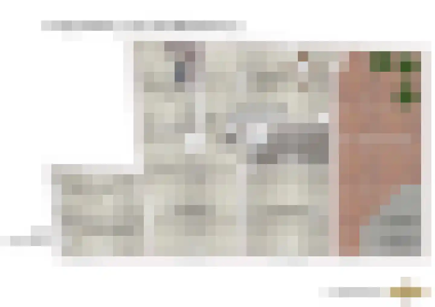Caeciliastraat 79 Leiden thumbnail 68