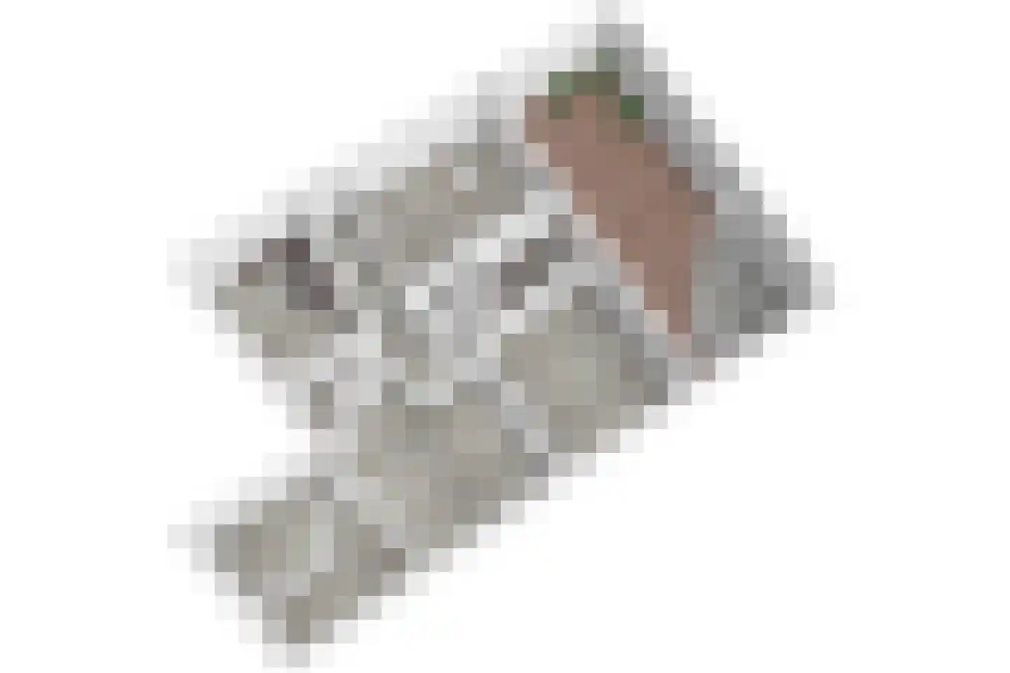 Caeciliastraat 79 Leiden thumbnail 69
