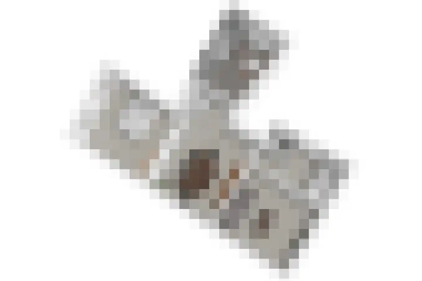 Caeciliastraat 79 Leiden thumbnail 71