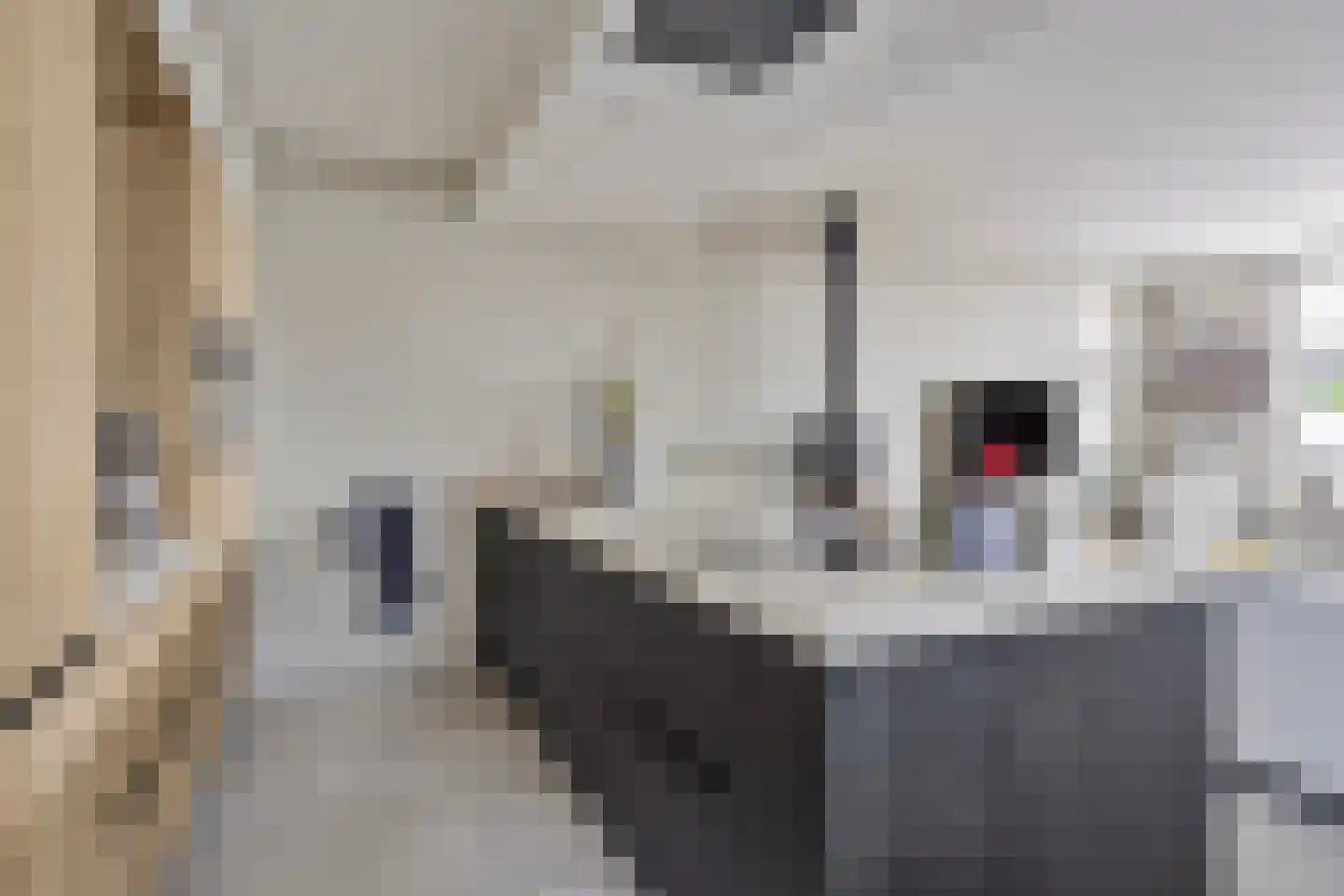 Caeciliënkamp 5 Neede thumbnail 15