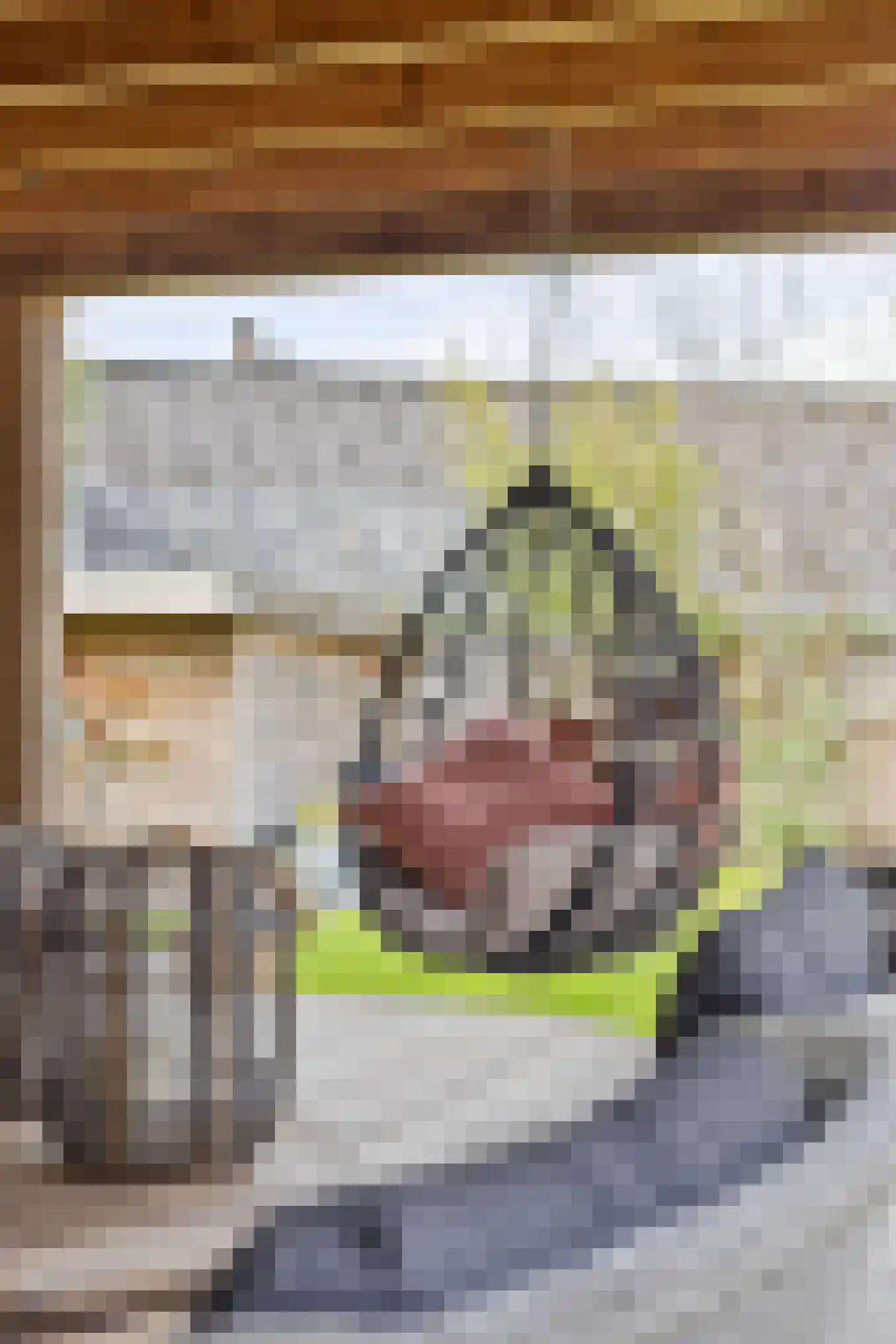 Caeciliënkamp 5 Neede thumbnail 33