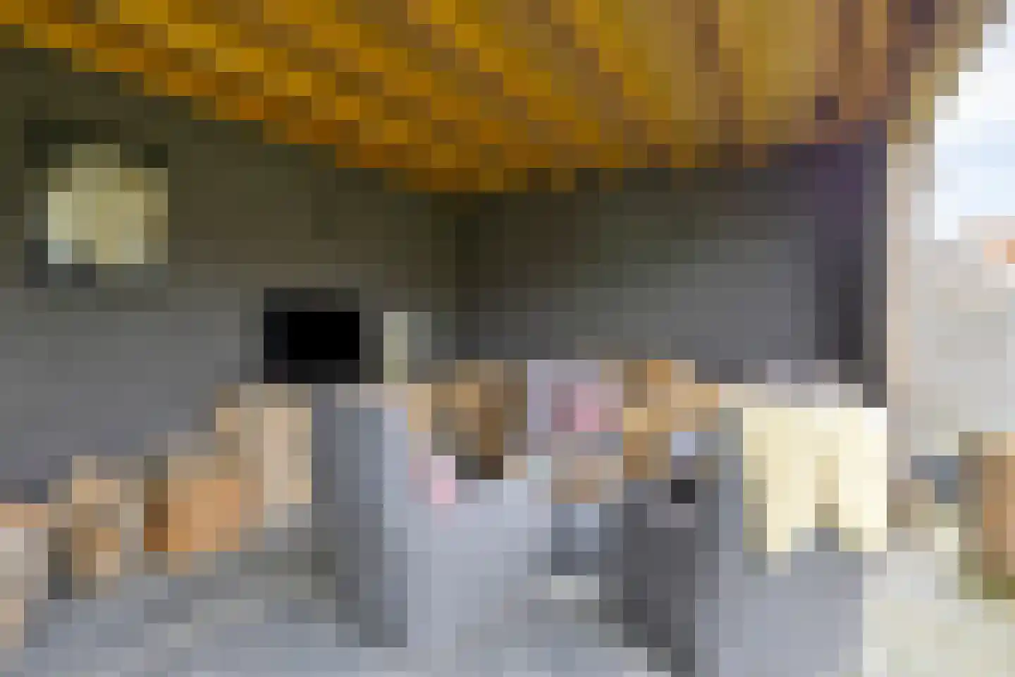 Caeciliënkamp 5 Neede thumbnail 35
