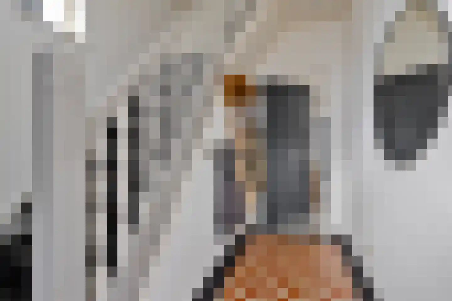 Caeciliënkamp 5 Neede thumbnail 6