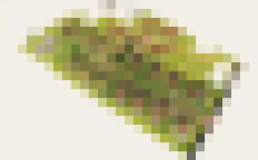 Caendorp 1 Heiloo thumbnail 14