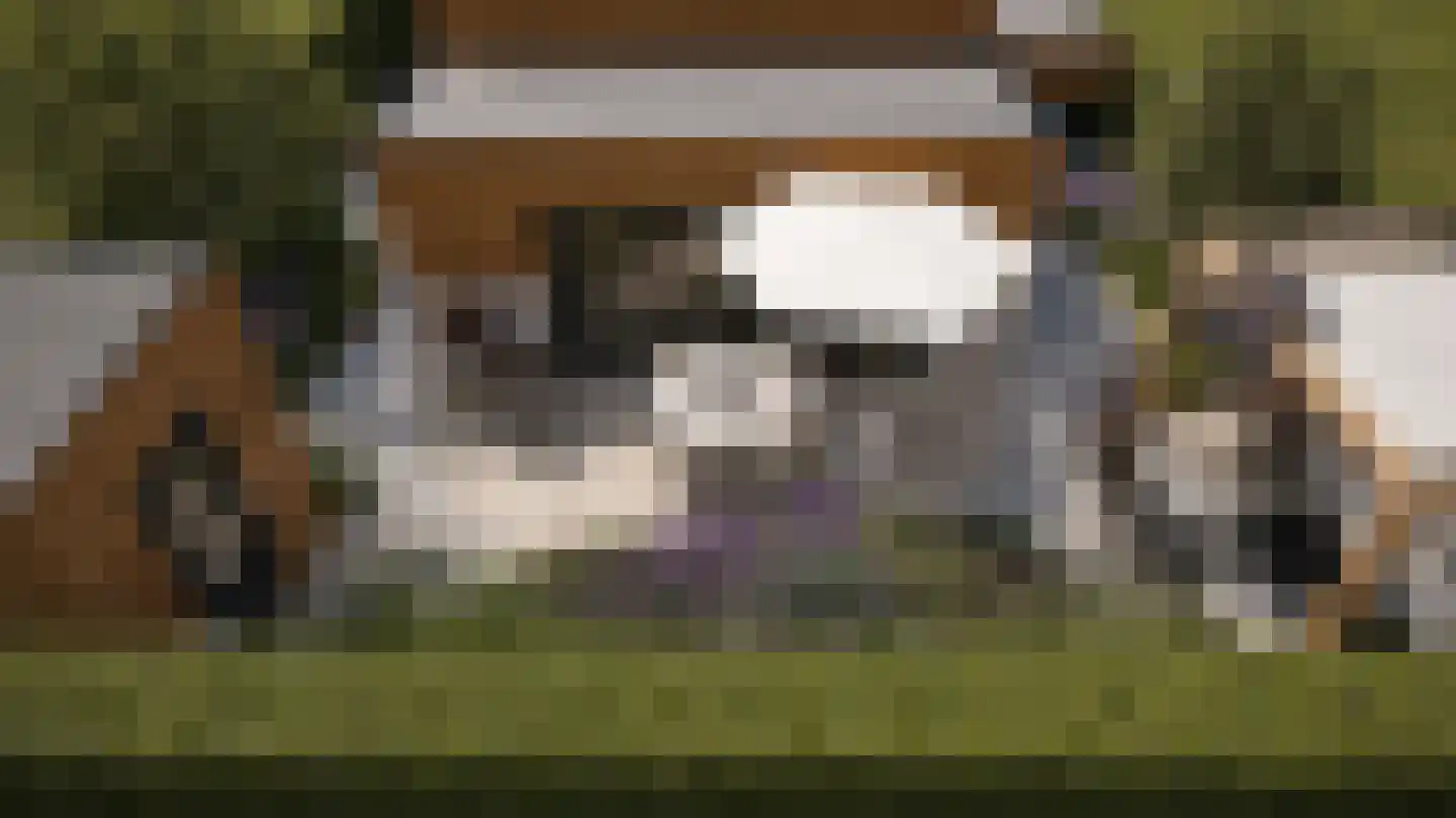 Caendorp 1 Heiloo thumbnail 4