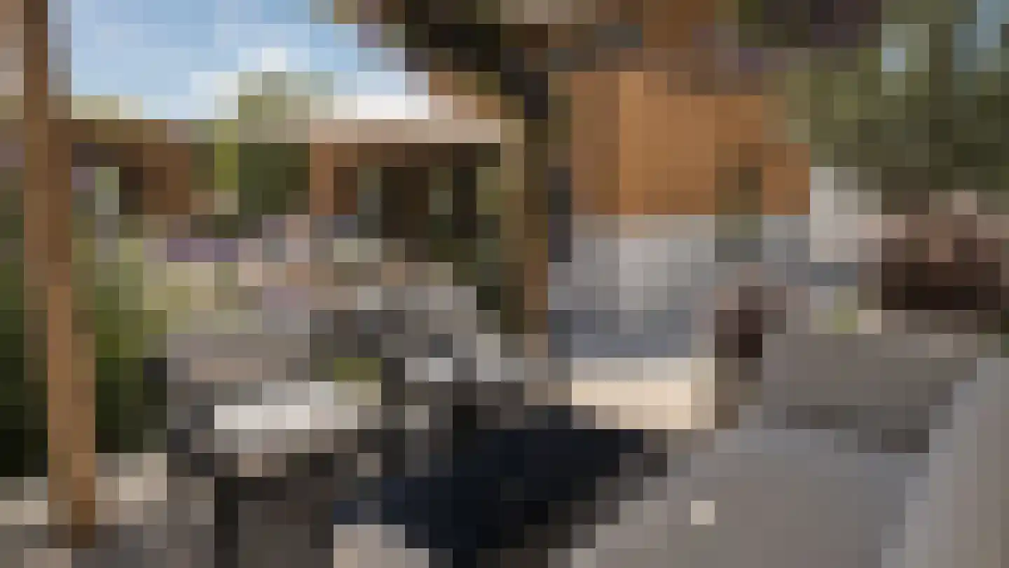 Caendorp 1 Heiloo thumbnail 5