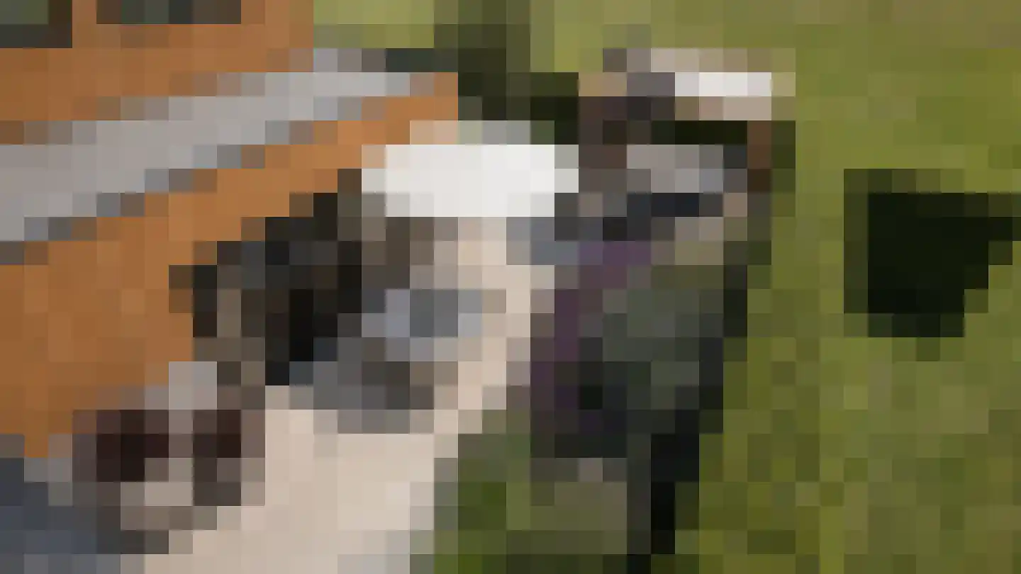 Caendorp 1 Heiloo thumbnail 6