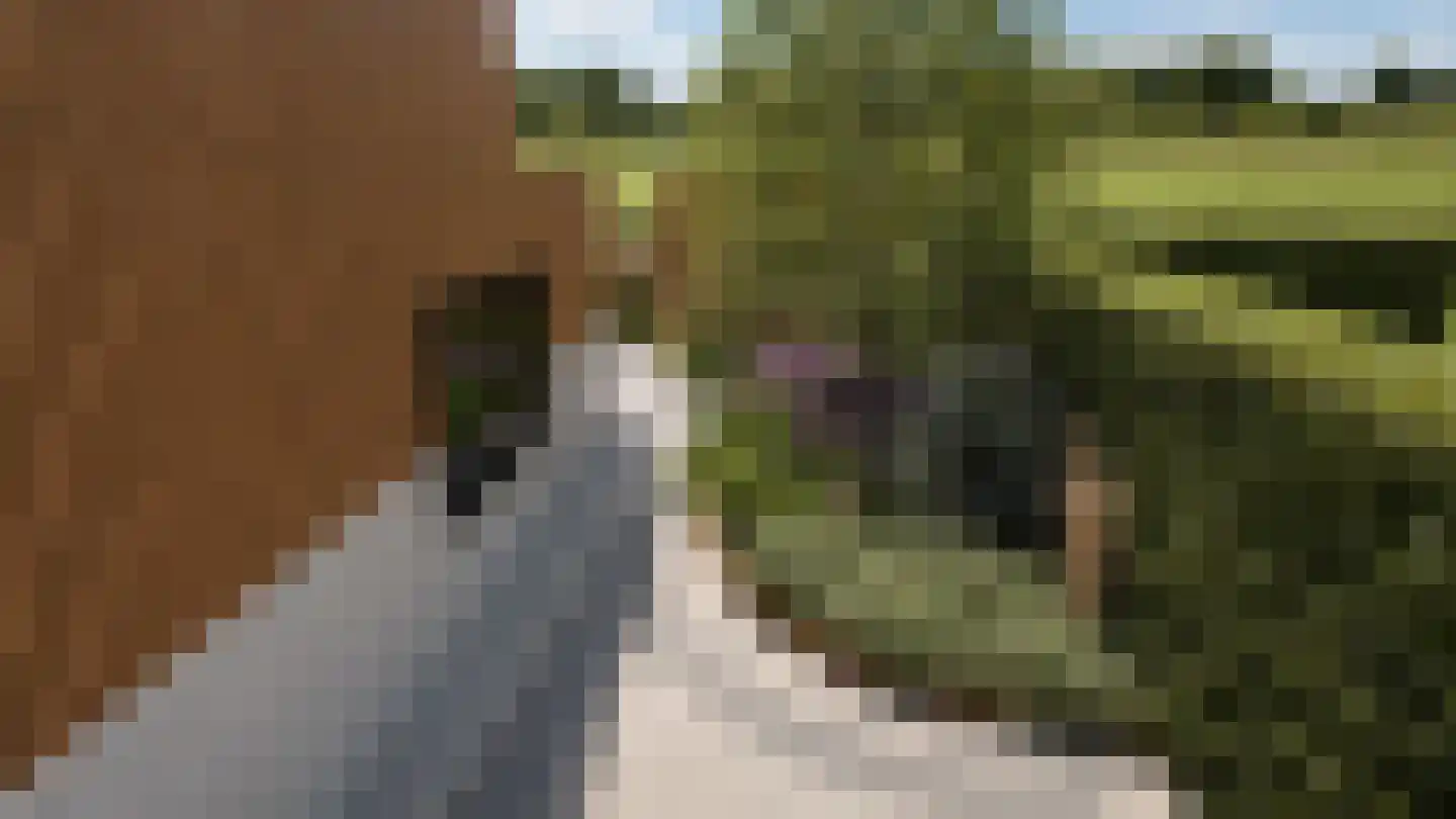 Caendorp 1 Heiloo thumbnail 7
