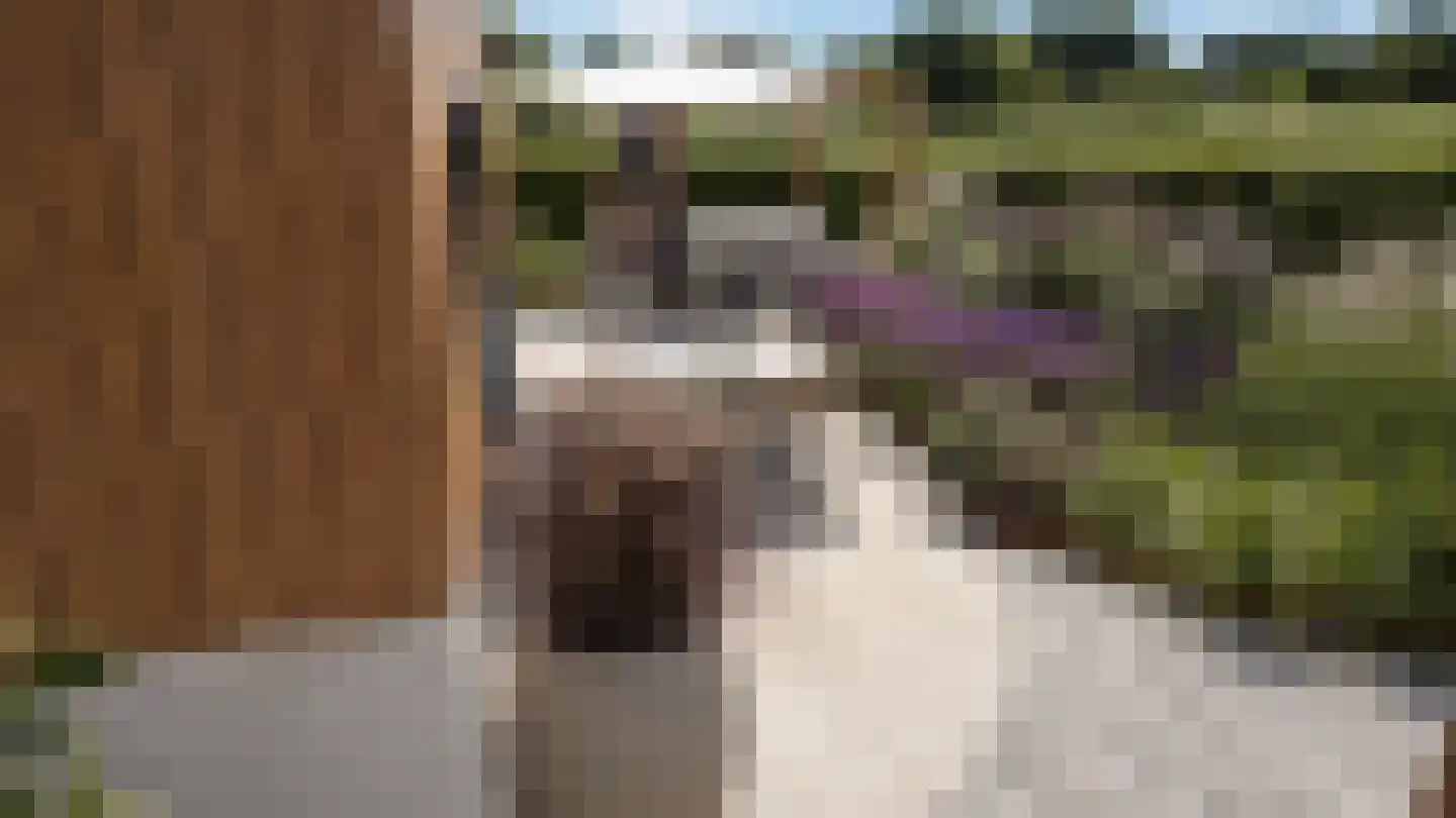 Caendorp 1 Heiloo thumbnail 8