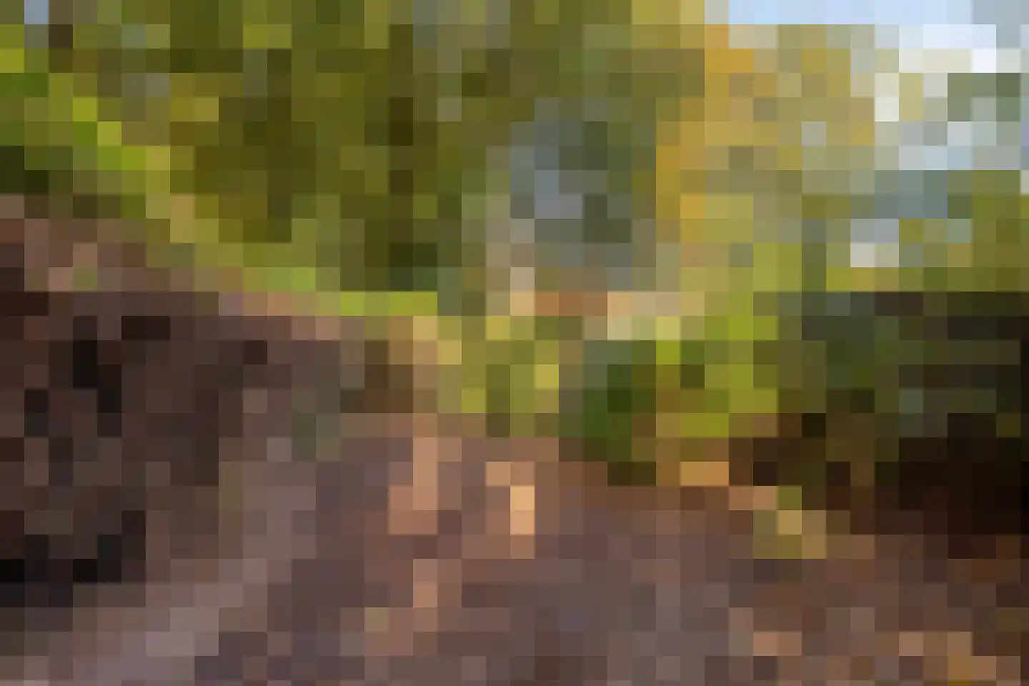 Caenstraat 1 Doetinchem thumbnail 31