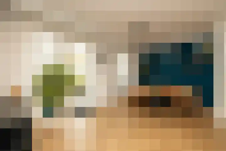 Caesar 8 Noordwijkerhout thumbnail 10