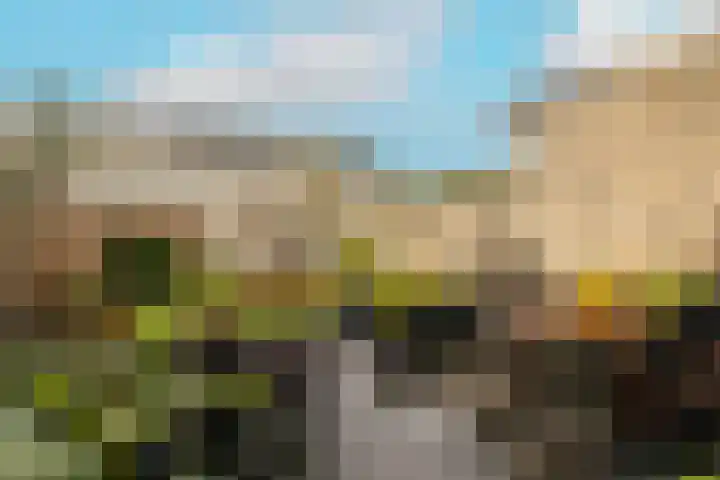 Caesar 8 Noordwijkerhout thumbnail 11