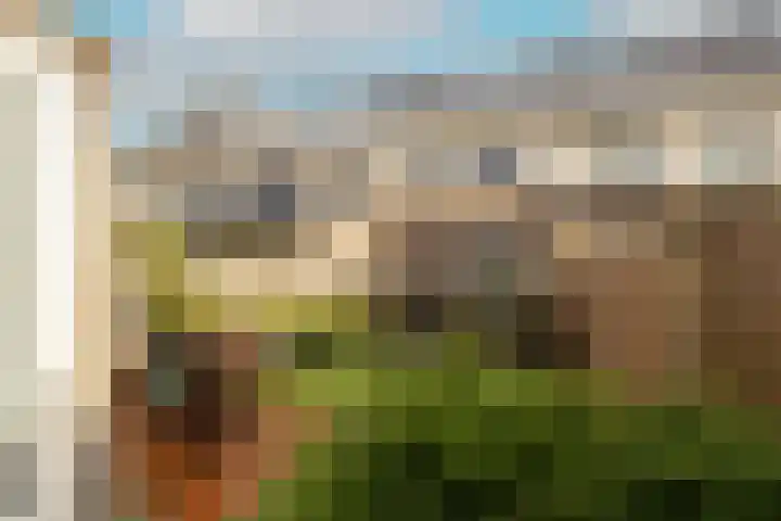 Caesar 8 Noordwijkerhout thumbnail 12